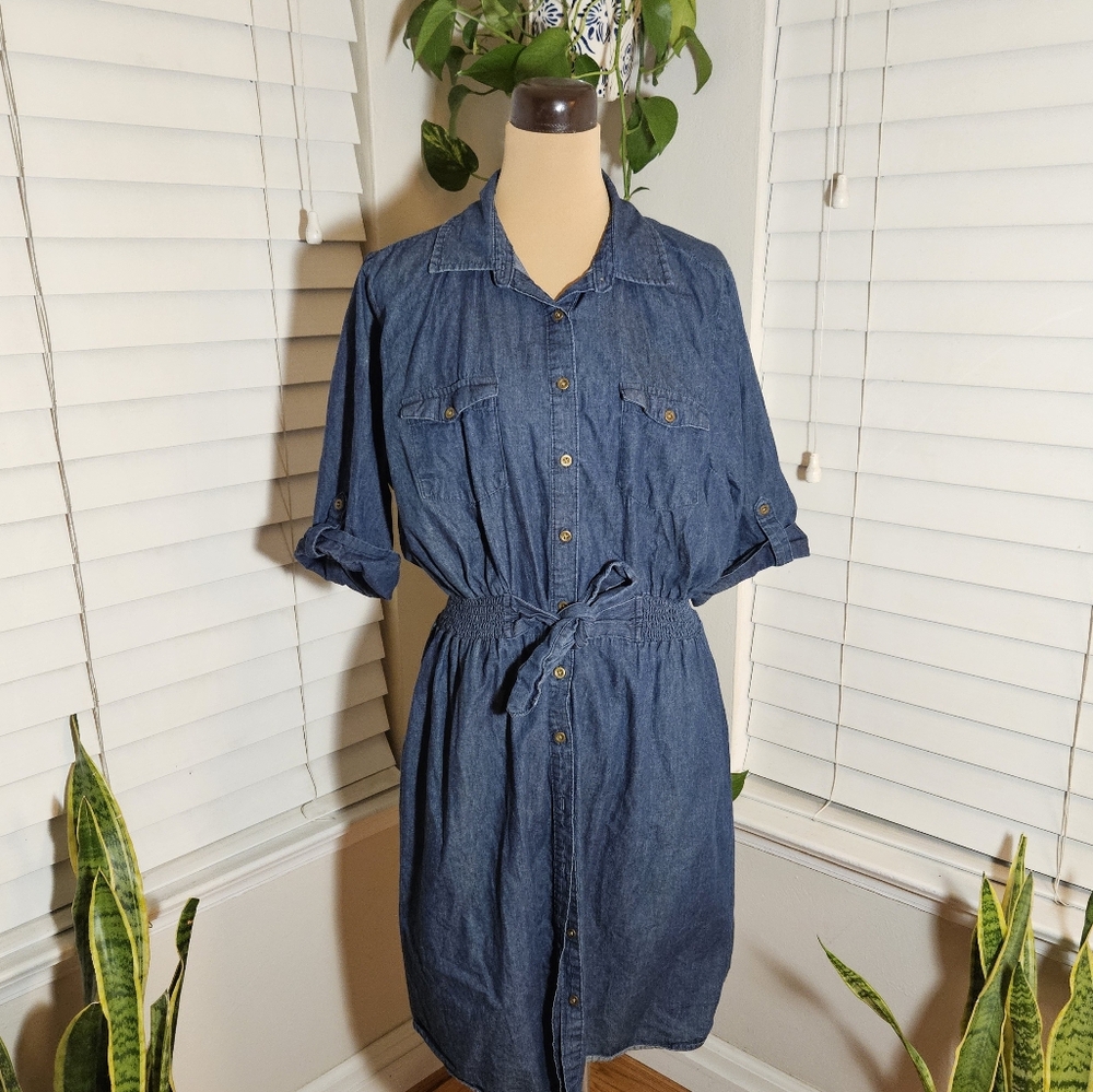 Milinium Denim Button Up Dress